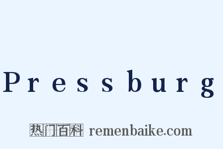 Pressburg是什么意思的图片